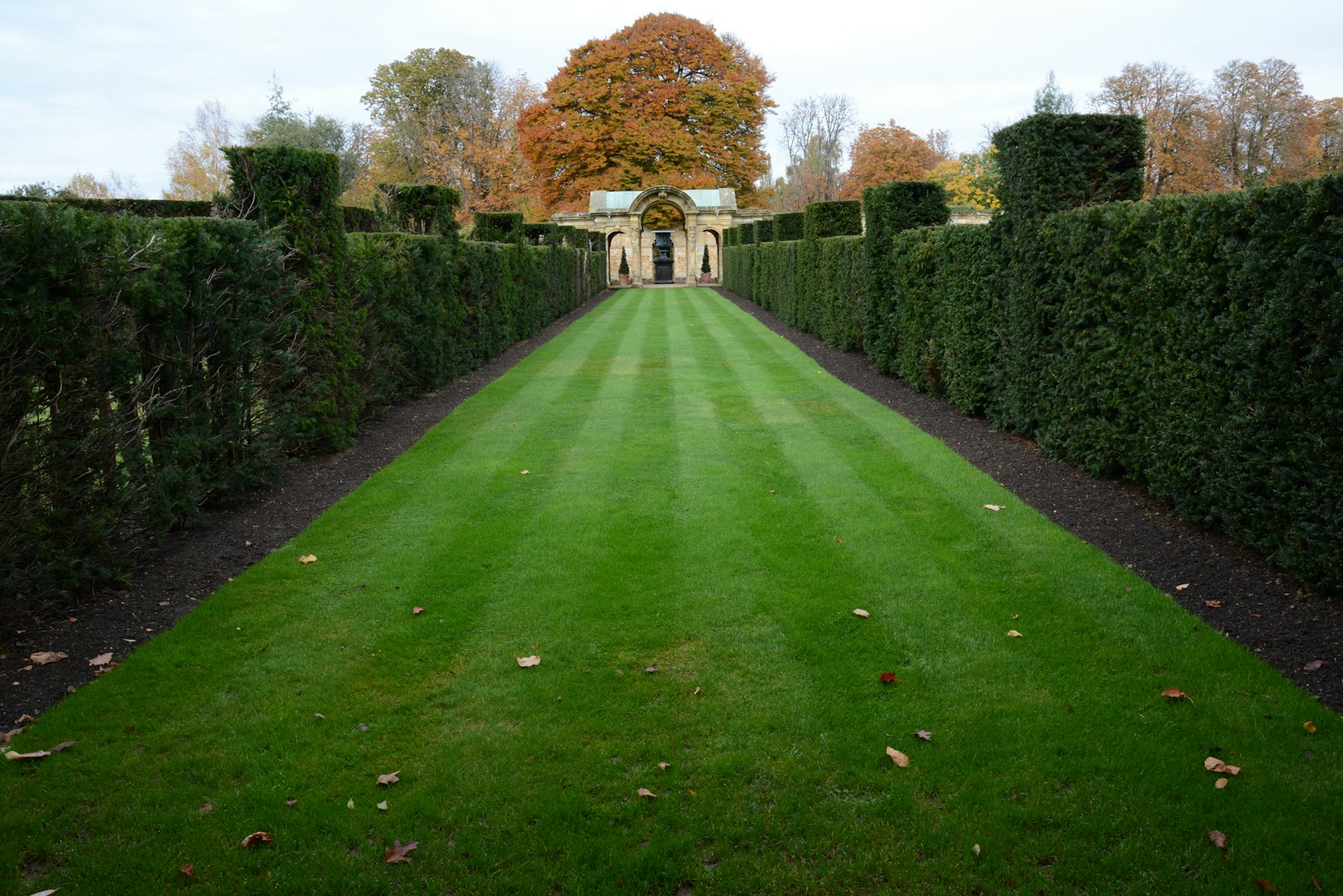 Hedge Trimming